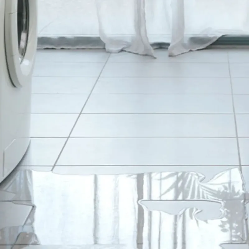 Appliance Leak Cleanup in Richwood, OH