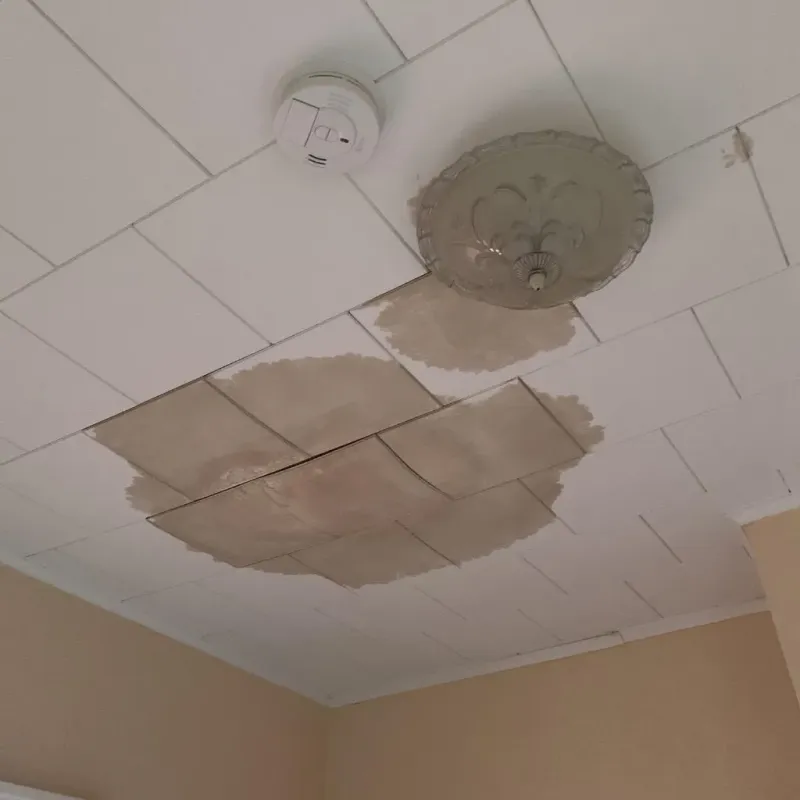 Ceiling Water Damage Repair in Richwood, OH