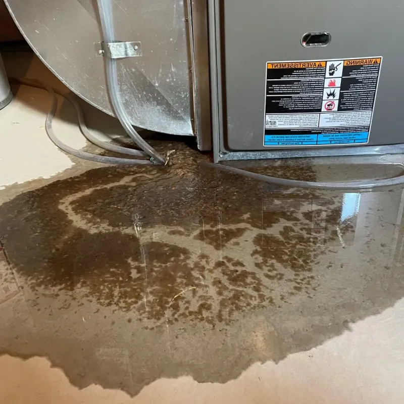 Pipe Burst and Leak Restoration in Richwood, OH