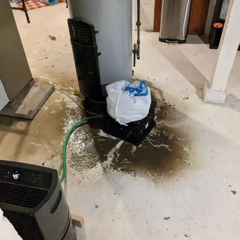 Sewage Backup Cleanup Service in Richwood, OH